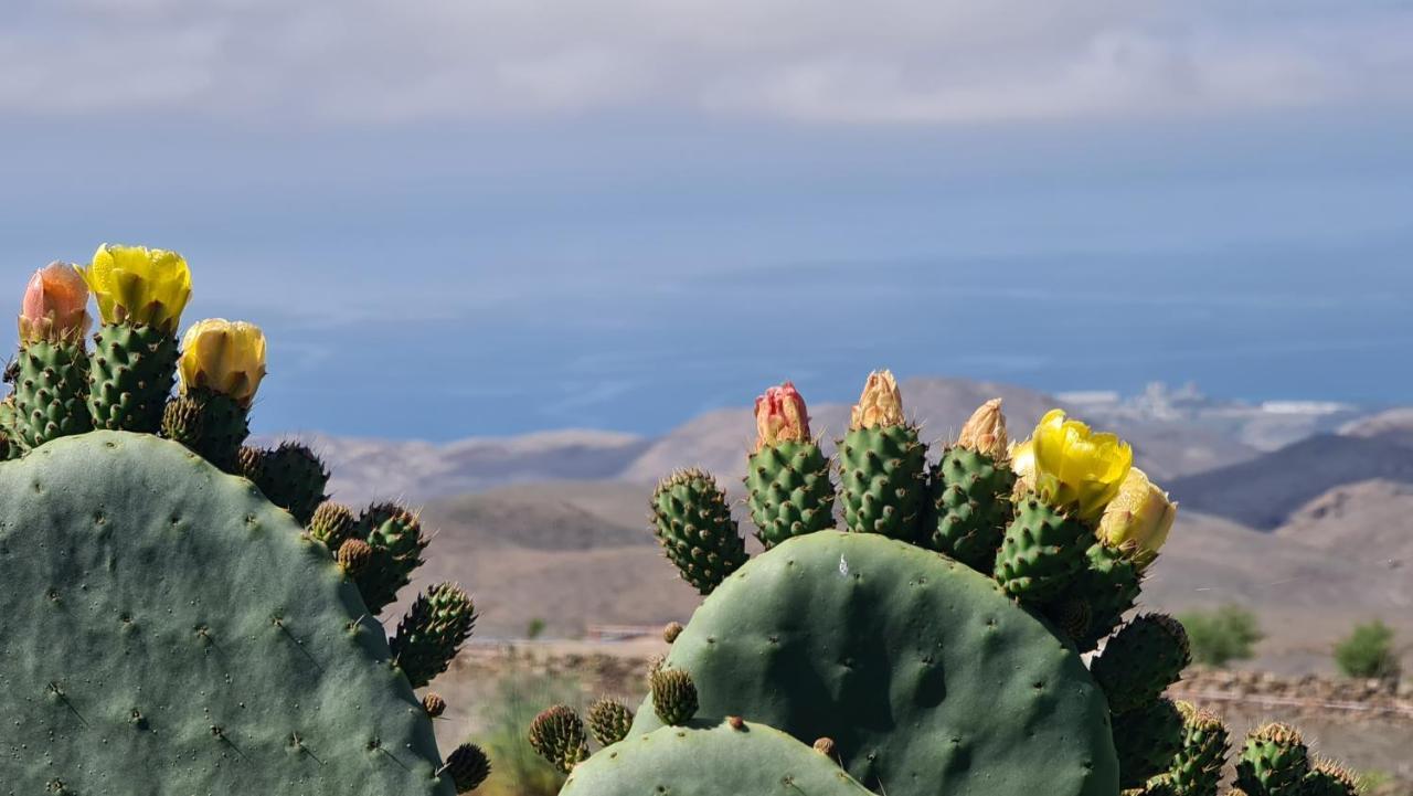 Puerto Rico Top Teide And Amadores View Exterior foto